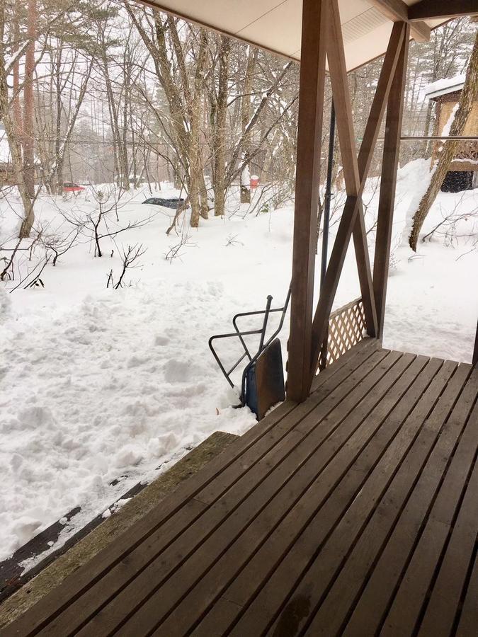 Shirokuma Lodge 하쿠바 외부 사진